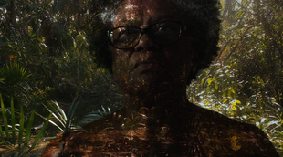 Thumb peitoprumoquadro004