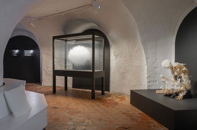 Thumb whatsapp image 2023 10 10 at 11.29.35