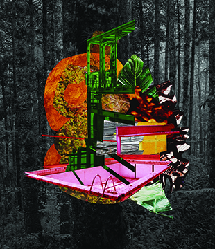 Thumb caio reisewitz bienalle l image tangible votuporanga.webb