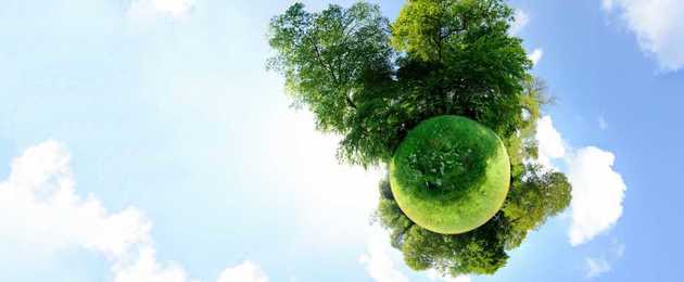 Thumb 10 24 18 pollaca  km master2 copy  detail carousel