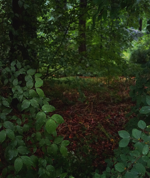 Thumb caio reise burle