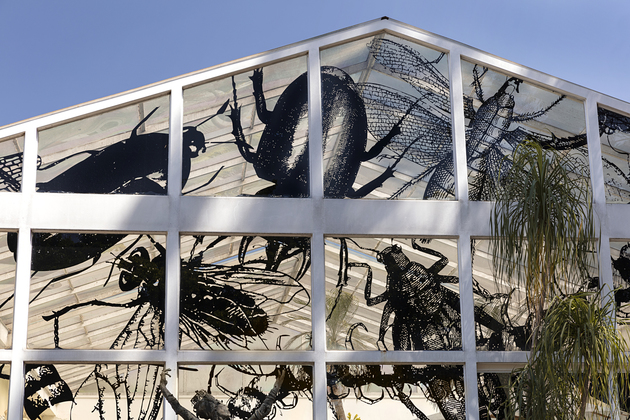 Thumb regina silveira   01  projeto caixa de pandora  kura  09.2020    everton ballardin