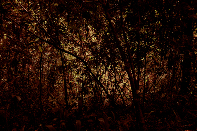 Thumb altamira 1.web