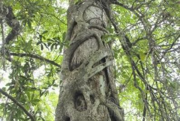 Thumb screen shot 2021 05 17 at 13.07.38